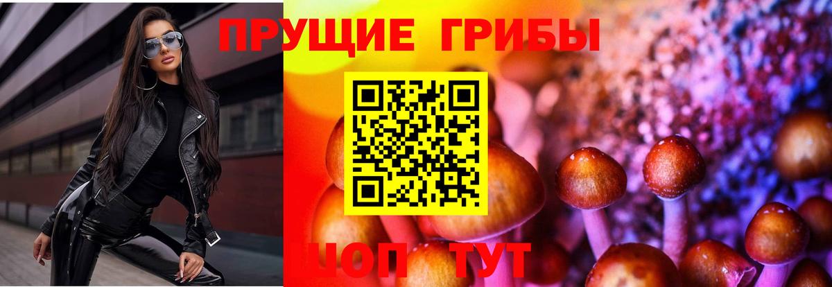 Галлюциногенные грибы Psilocybine cubensis Стрежевой